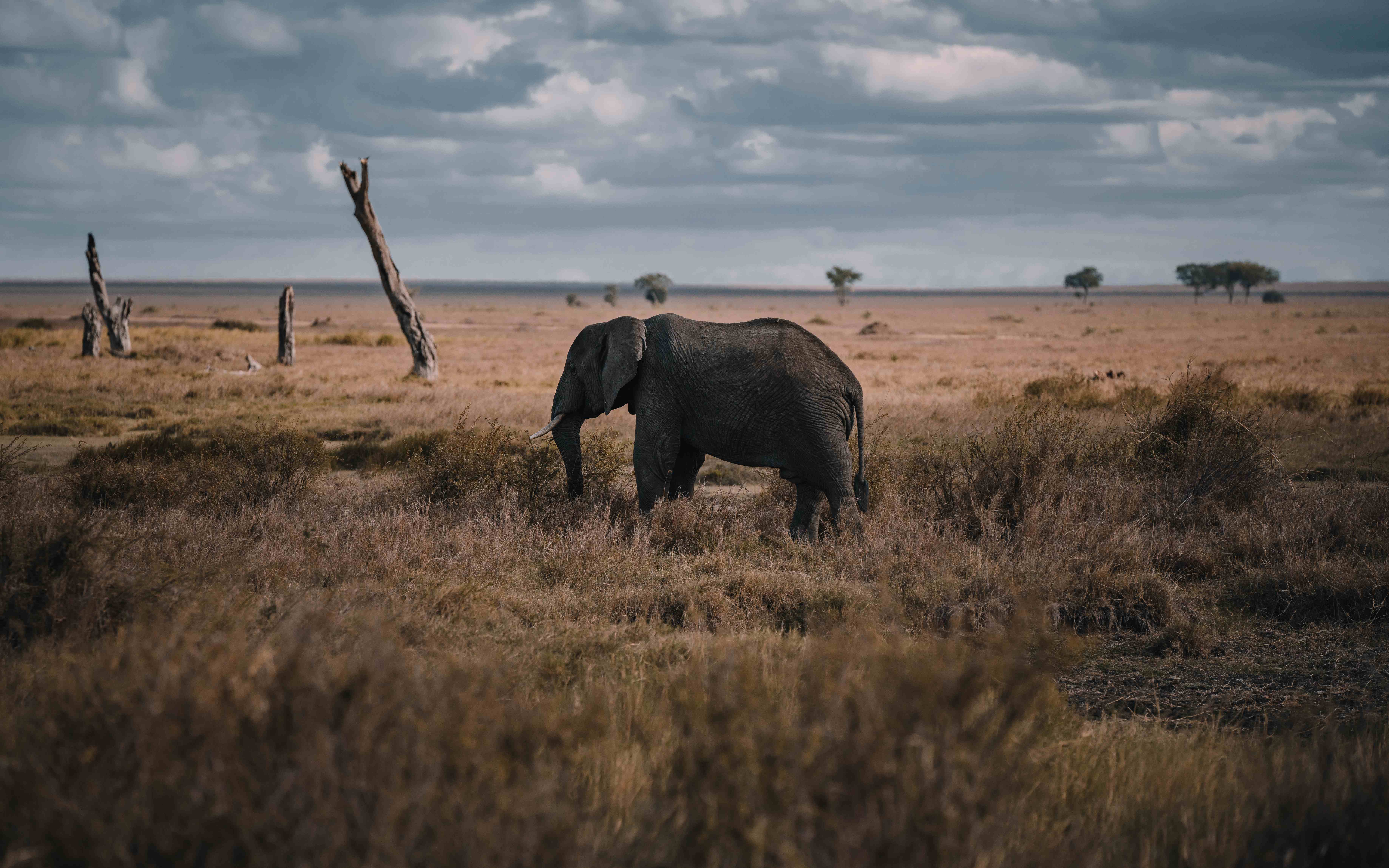 Chitwa Chitwa Safari Lodge